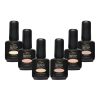 Must-Have Nudes Set - Bio Seaweed Gel USA